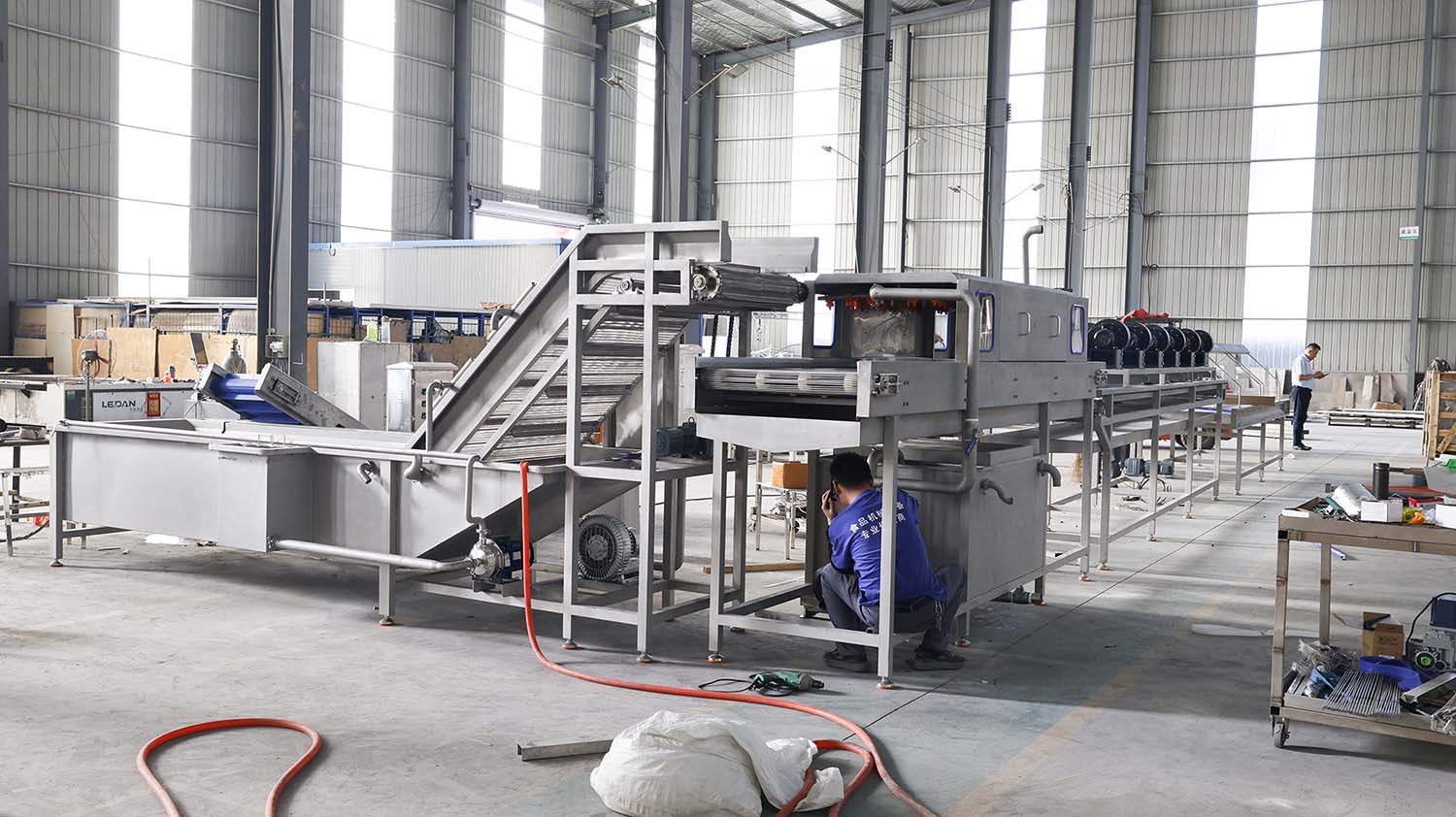 Clean vegetable production line - leafy vegetables