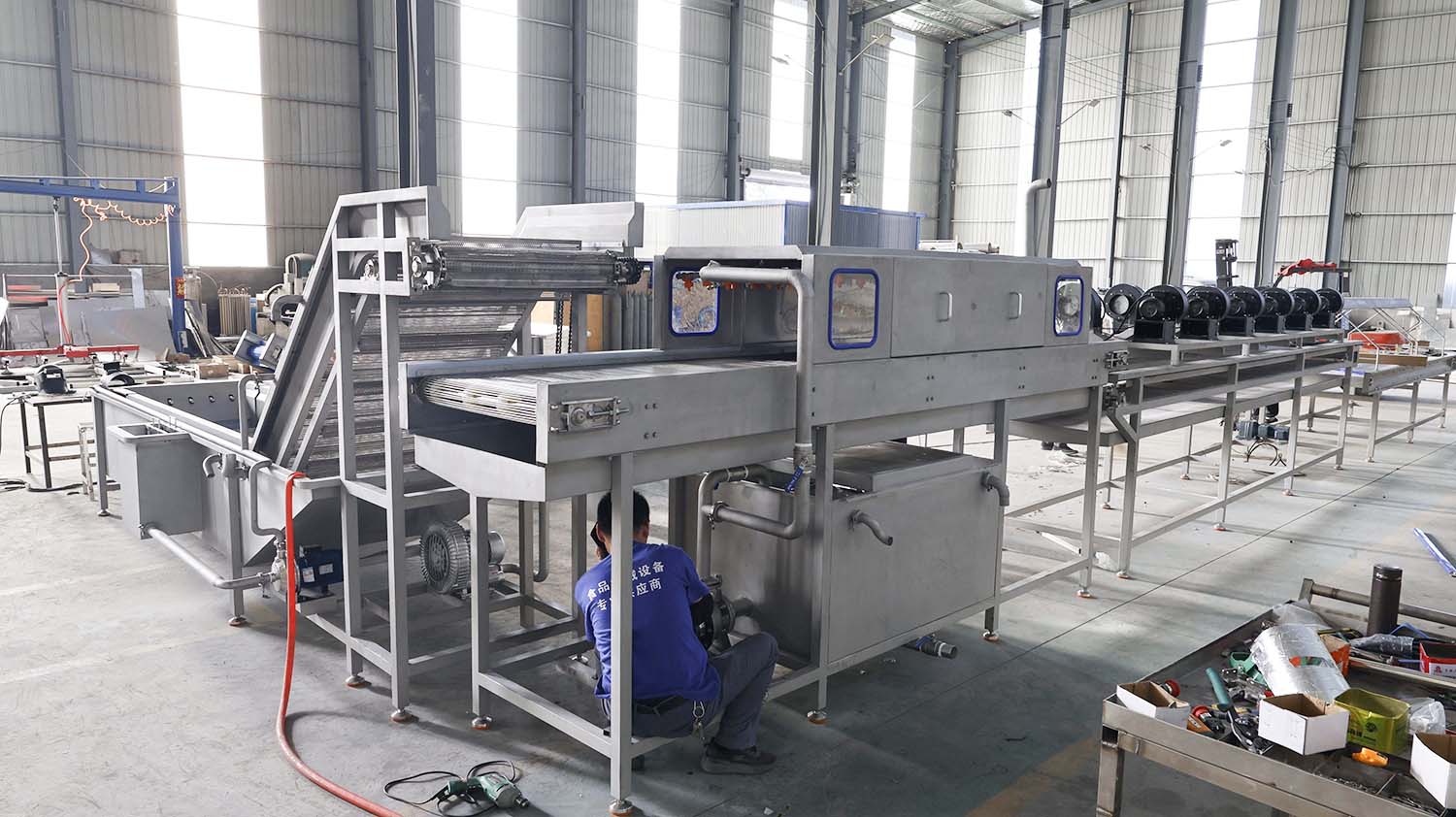 Clean vegetable production line - leafy vegetables