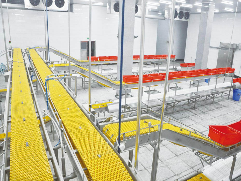 intelligent meat cutting conveyor line
