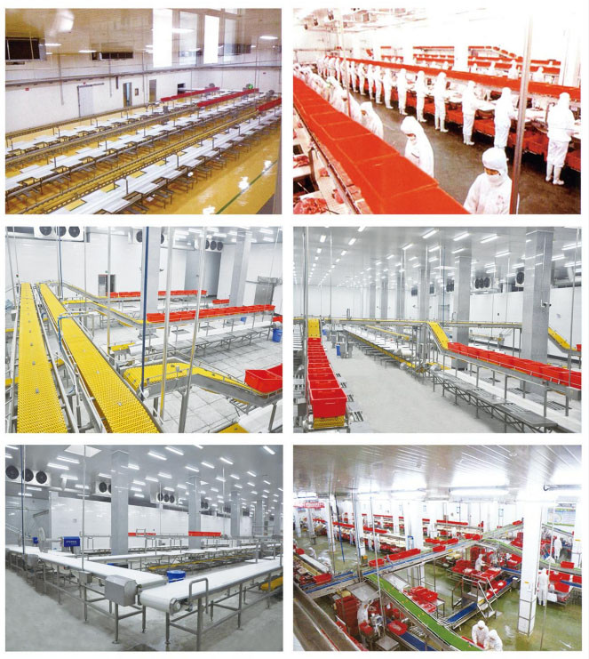 intelligent meat cutting conveyor line