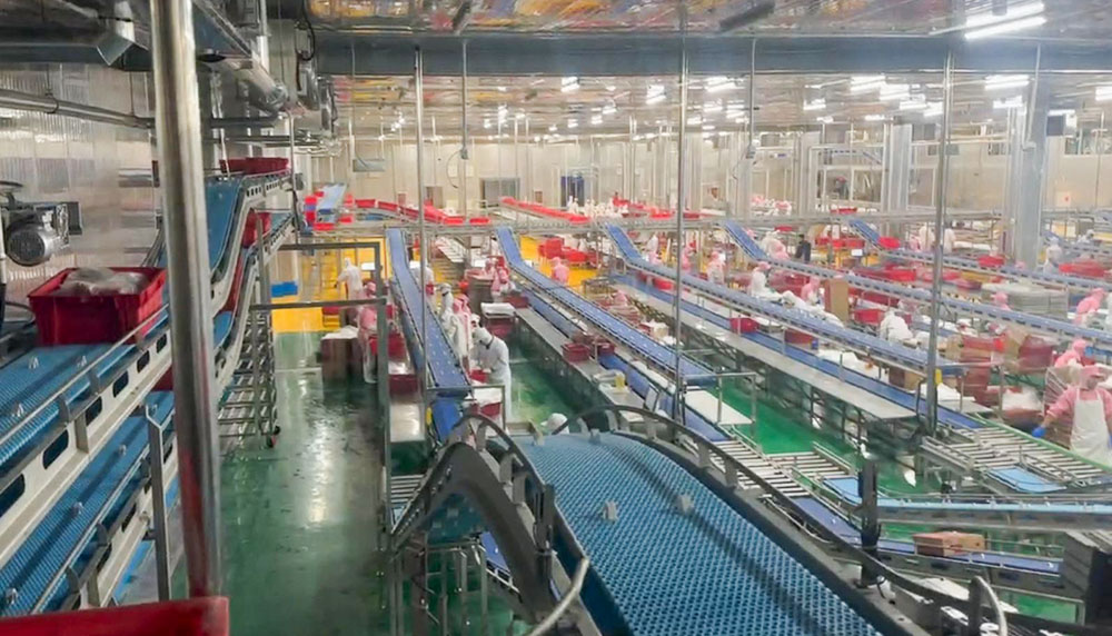 Intelligent Meat Cutting Conveyor Line