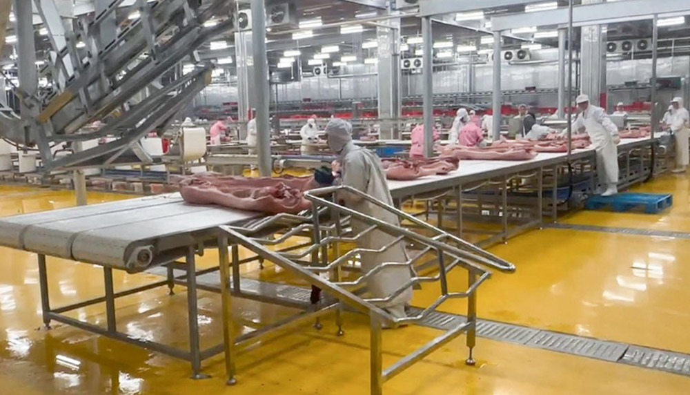 Intelligent Meat Cutting Conveyor Line