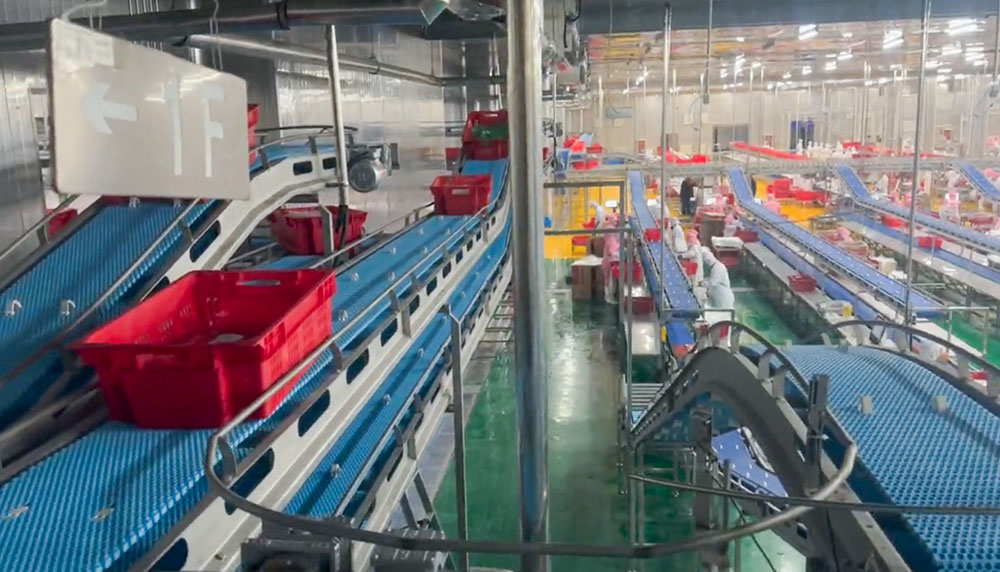 Intelligent Meat Cutting Conveyor Line