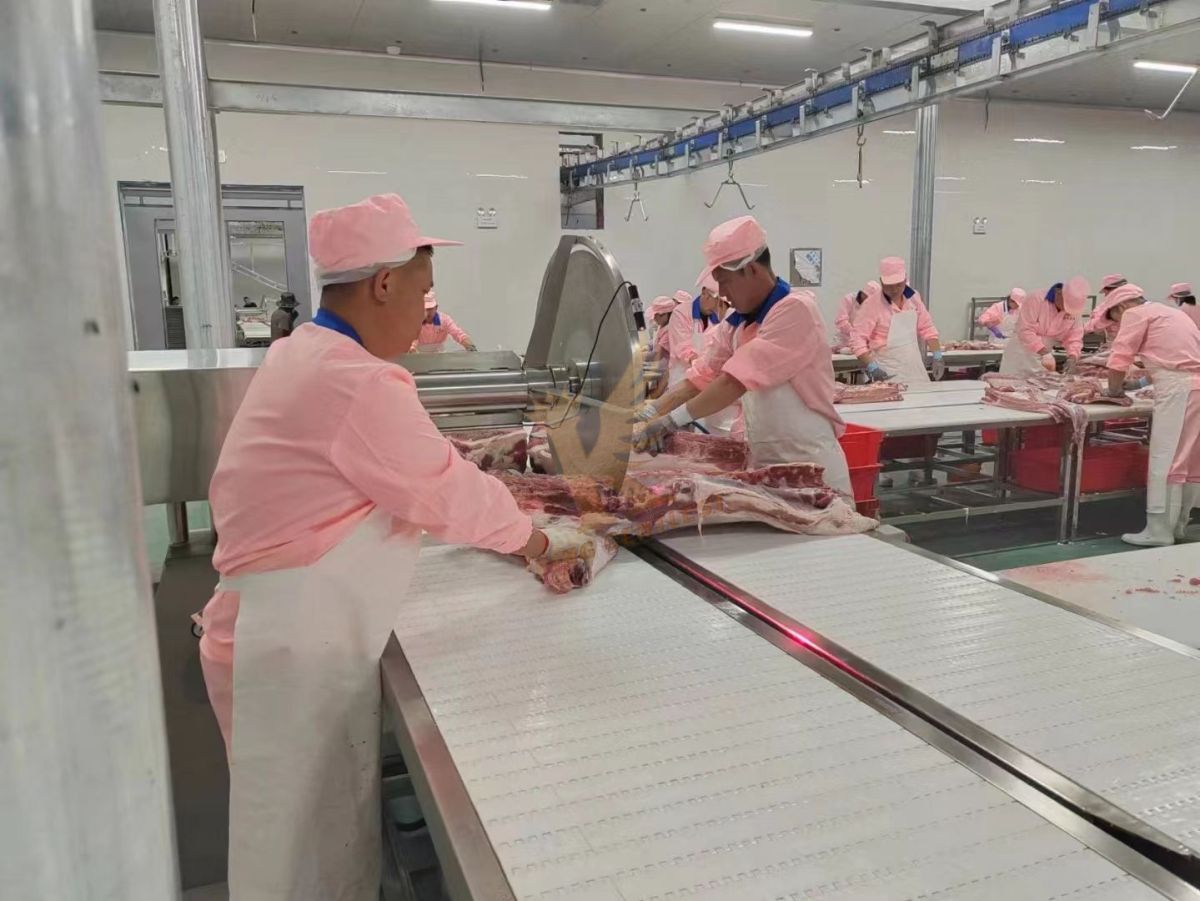 circular saw machine