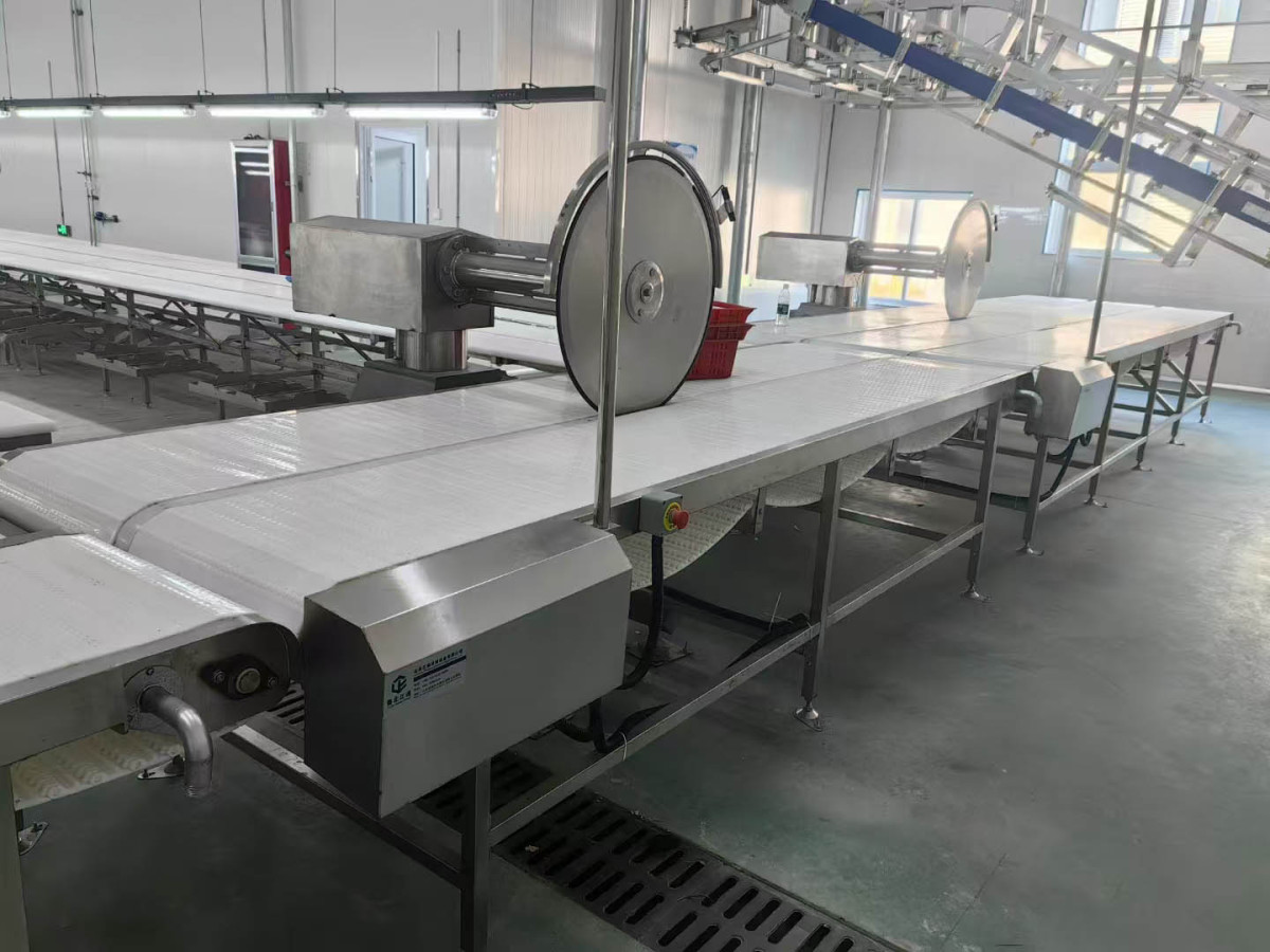 circular saw machine