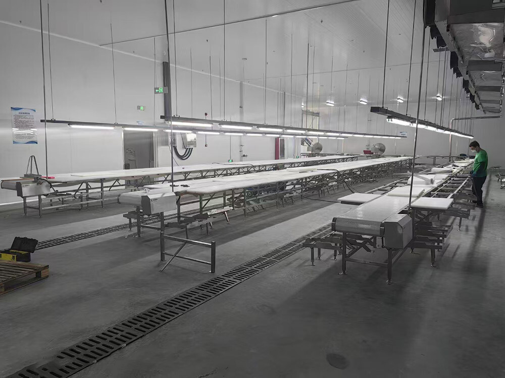 circular saw machine