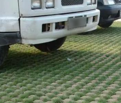 Grass bricks