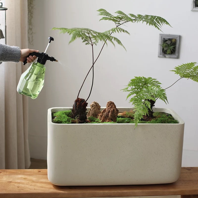 Rectangular flower pot