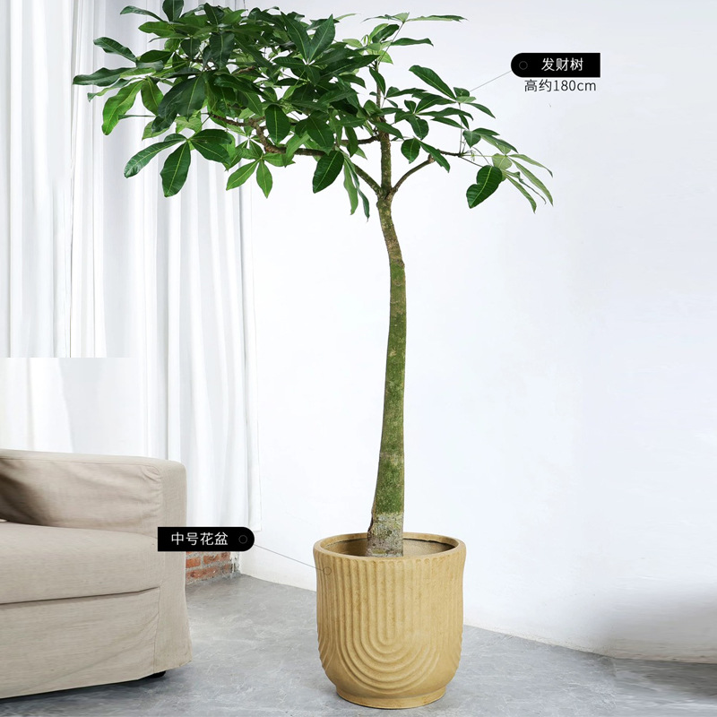 Magnesium clay flower pot