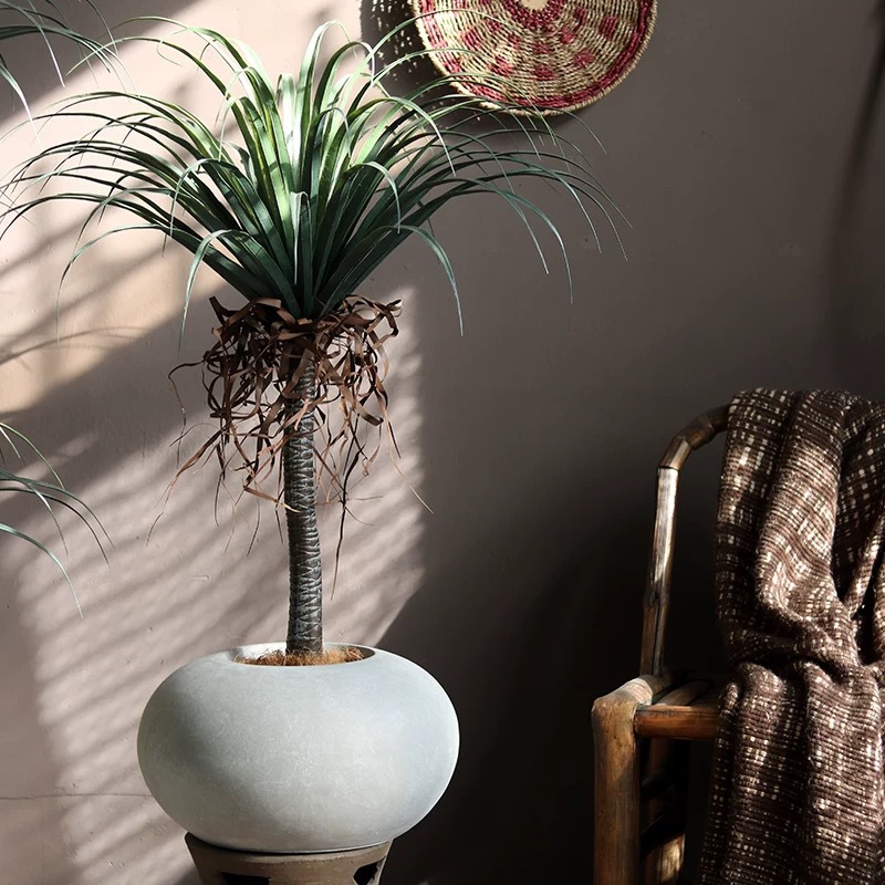 Flat spherical flower pot