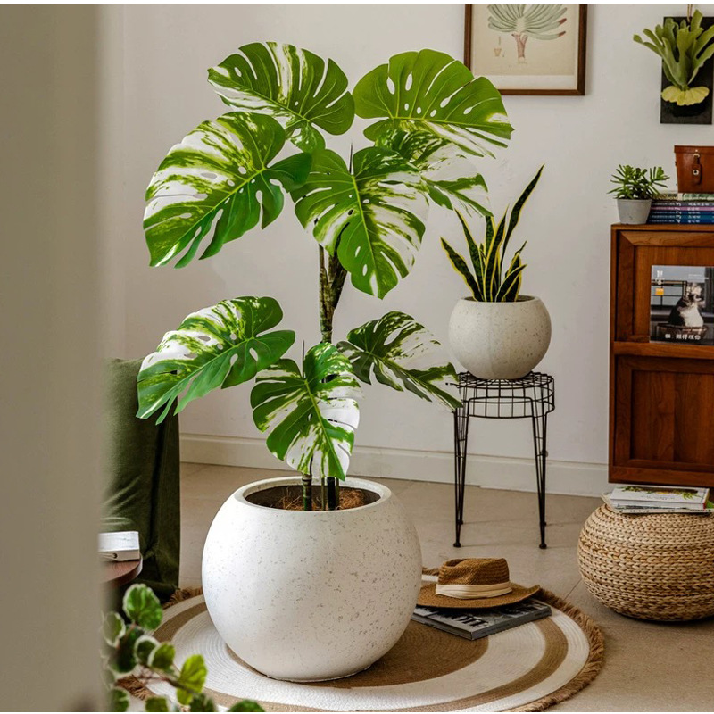 Large round flower pot