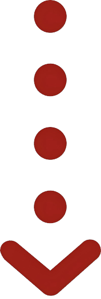 箱货查询-流程箭头(1)