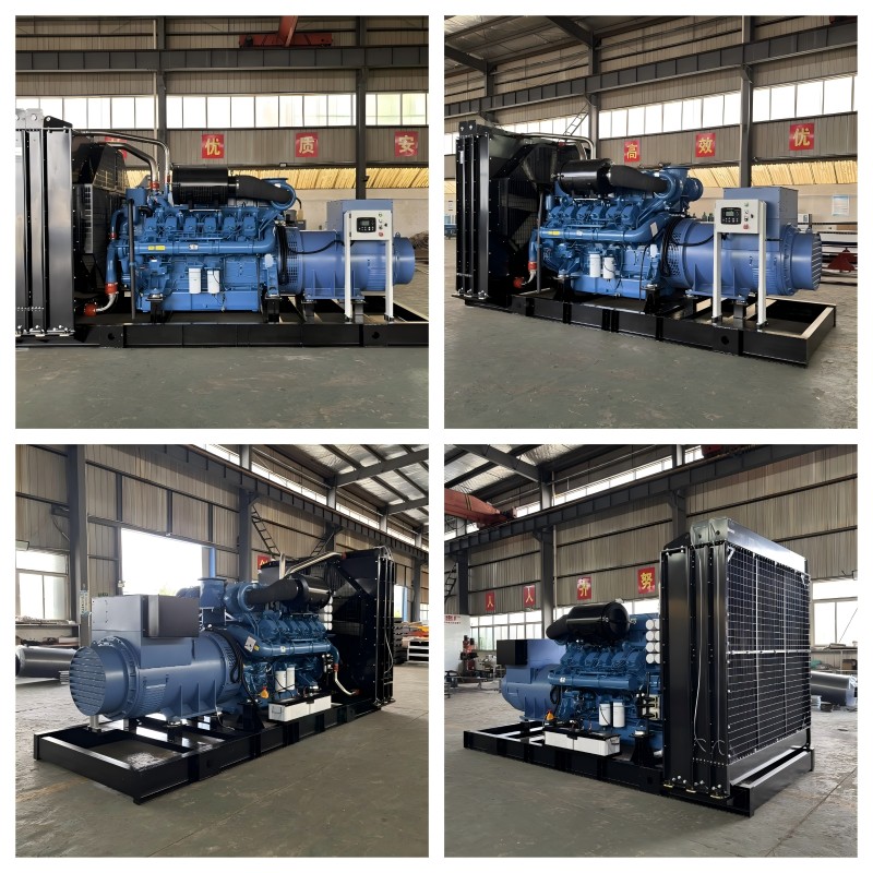 Yuchai Real Scene(1)