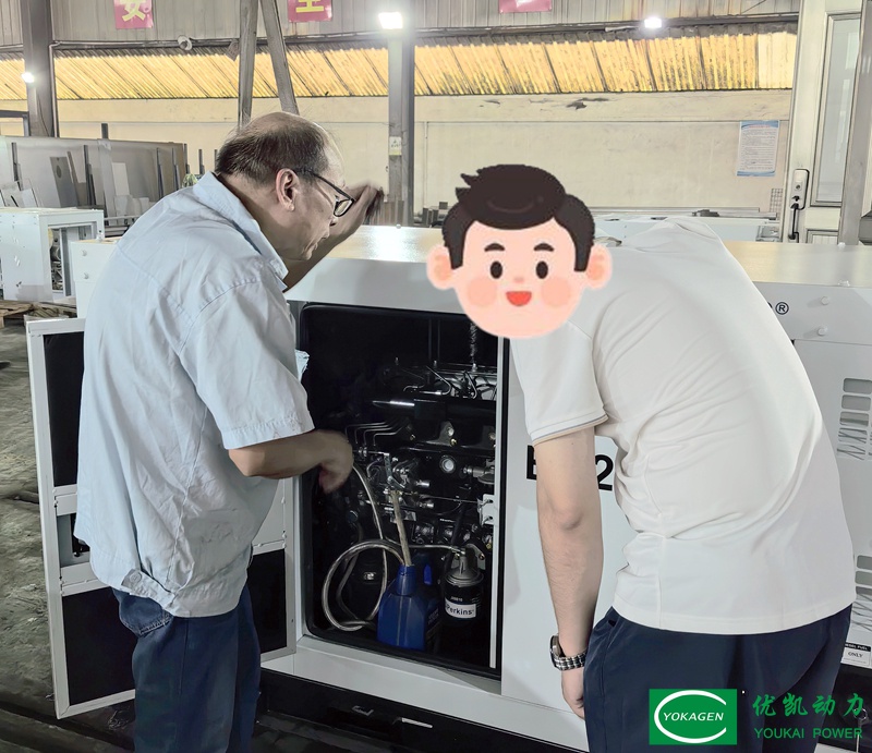 Client Conducts On‑Site Generator Inspection at Our Factory