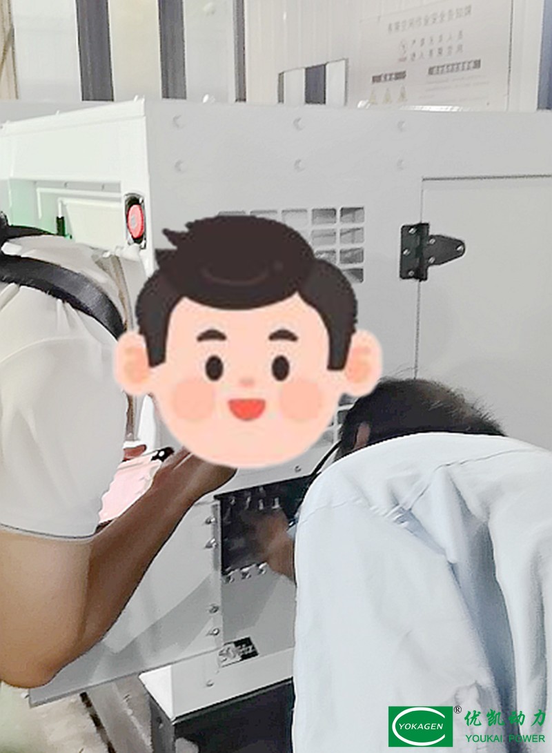 1_800 Client Conducts On‑Site Generator Inspection at Our Factory