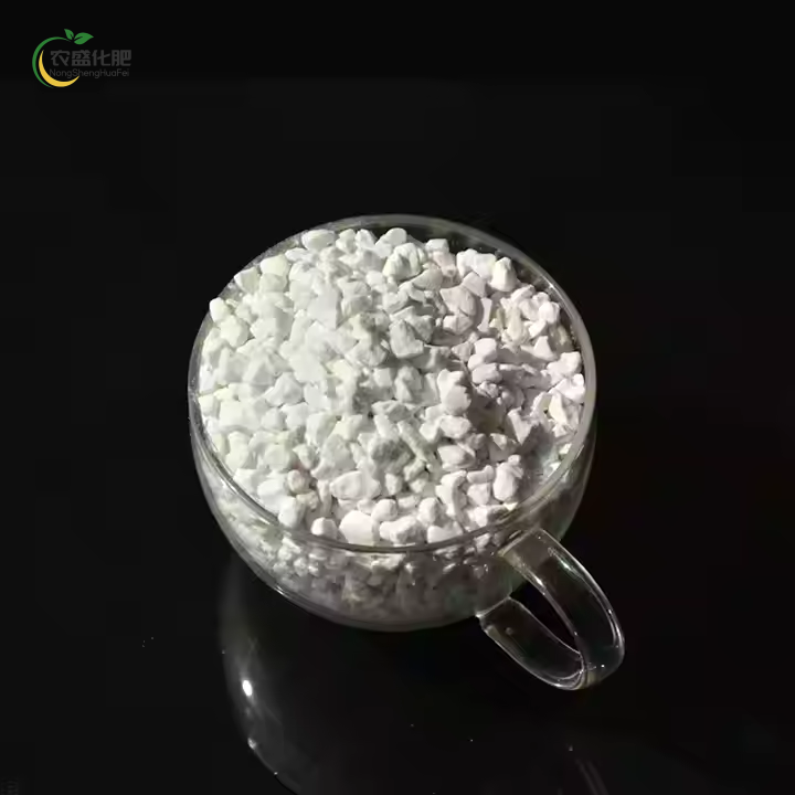 SOP