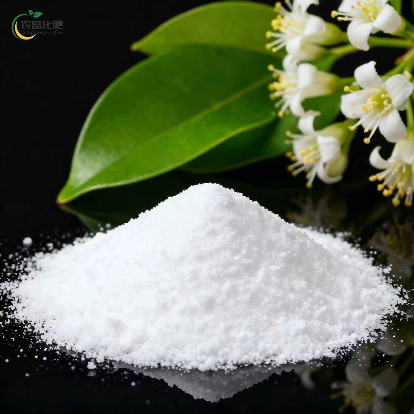 Magnesium sulfate monohydrate