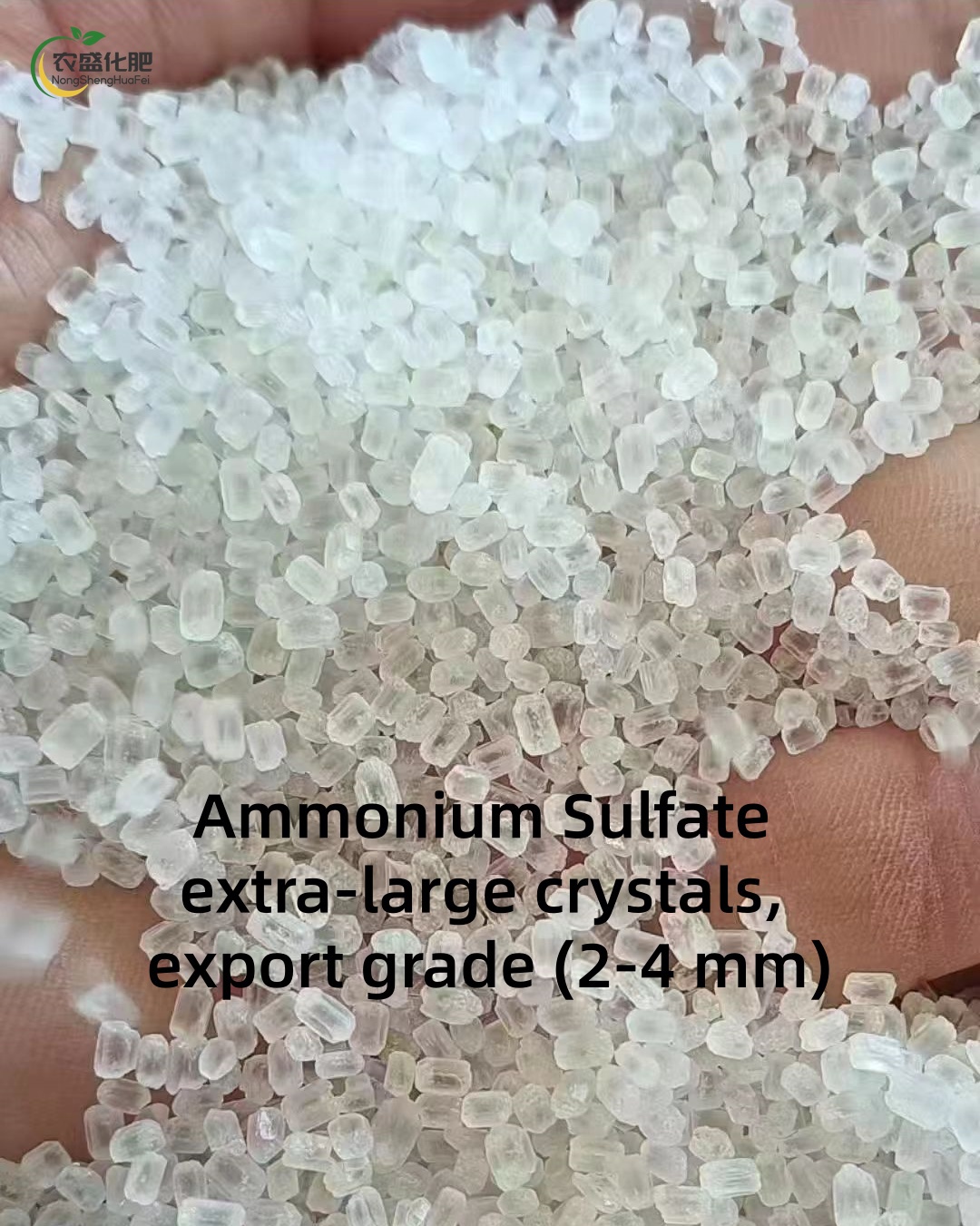 Ammonium Sulfate 21-24