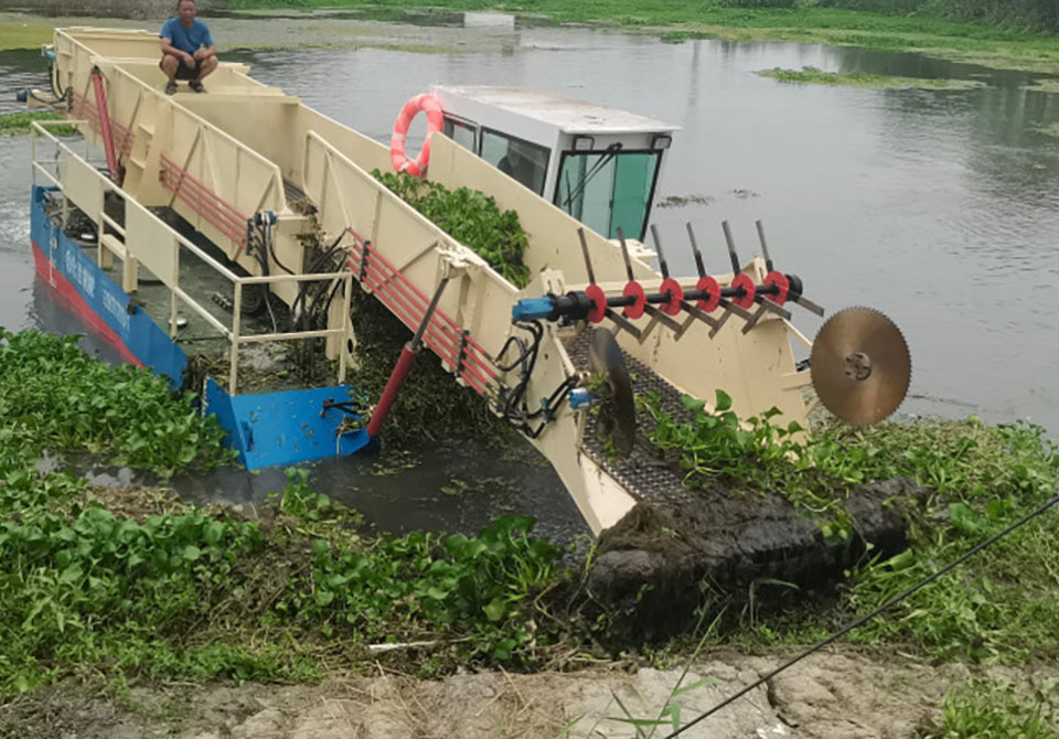 20 Cubic meter water hyacinth Harvester in working