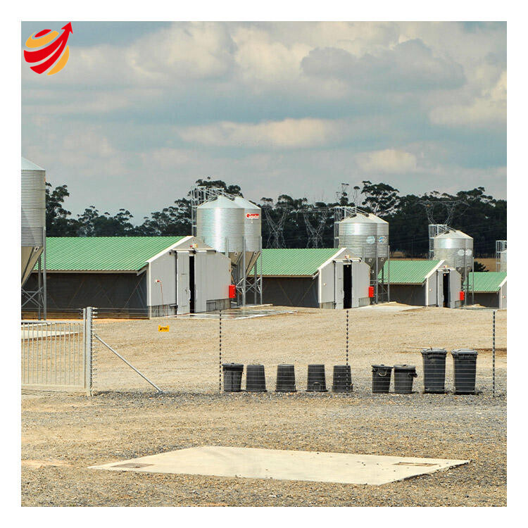 Full Automatic Light Steel Structure Building Poultry Farm Chicken Broiler House Shed Welding Bending Services GB Steel Workshop