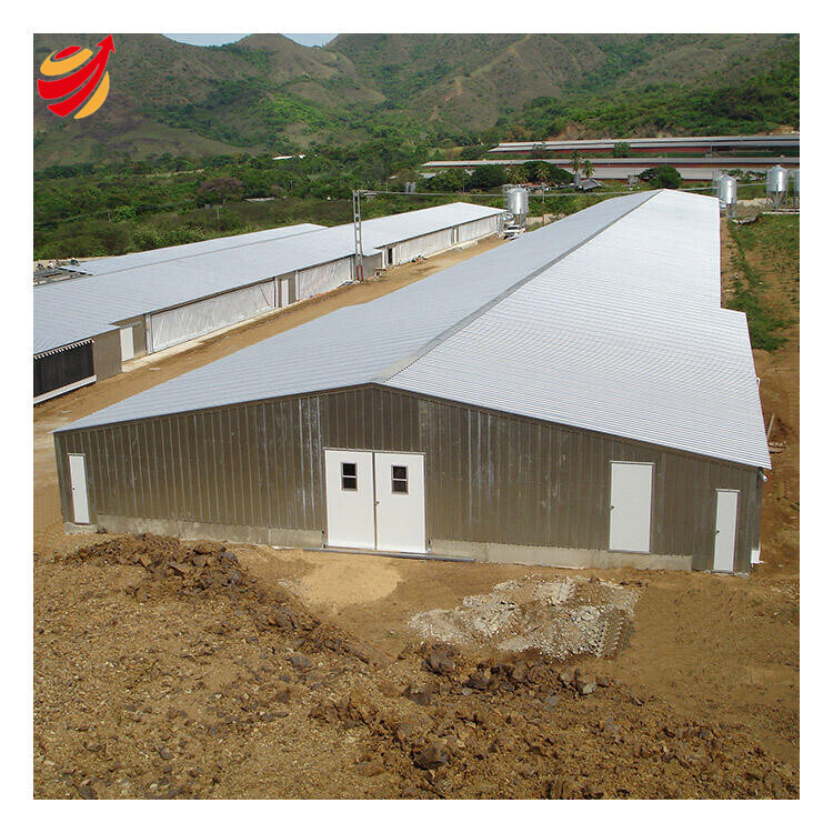 Full Automatic Light Steel Structure Building Poultry Farm Chicken Broiler House Shed Welding Bending Services GB Steel Workshop
