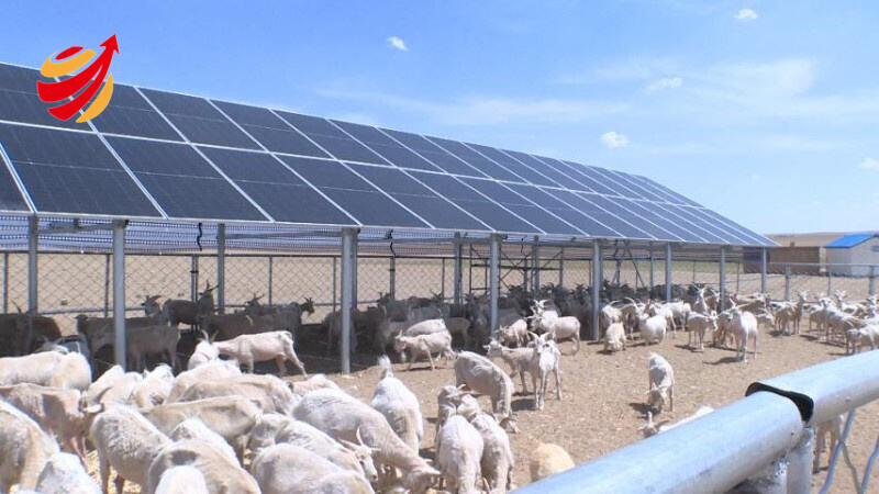 Low Cost Prefabricated Steel Structure Horse Stable Customized Metal Horse Stall Building Light Steel Workshop Welding Cutting