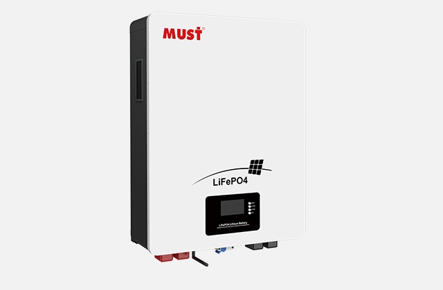 Must LP1600 Series (25.6V-100 200Ah)
