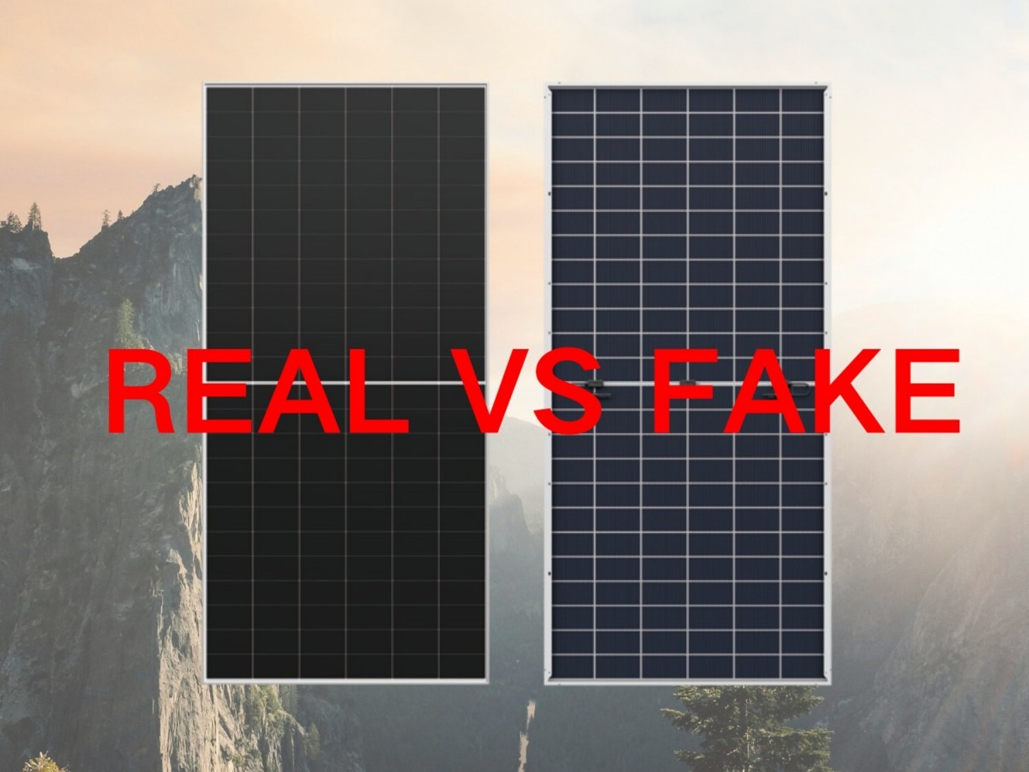 Ensuring Solar Panel Authenticity Seven Tips You Need to Know