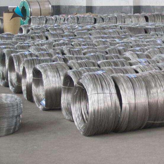 Galvanized Steel Wire