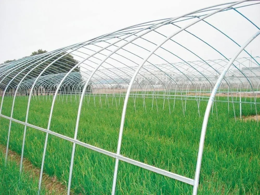 G550 Galvalume Steel Coilaz30-275 Galvalume Steel Coil/Galvanized Steel Coil / PPGI/PPGL/Carbon Plate/Color Coated/Aluminum Zinc Steel Coil/Stainless Steel Coil