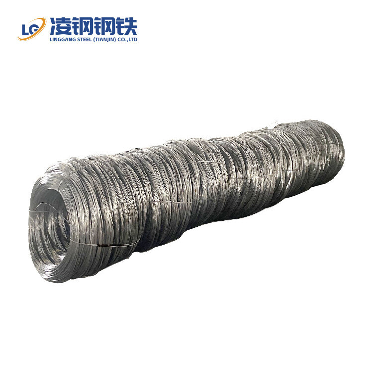 China Direct Supplier / Hot-Dipped Galvanized Steel Wire