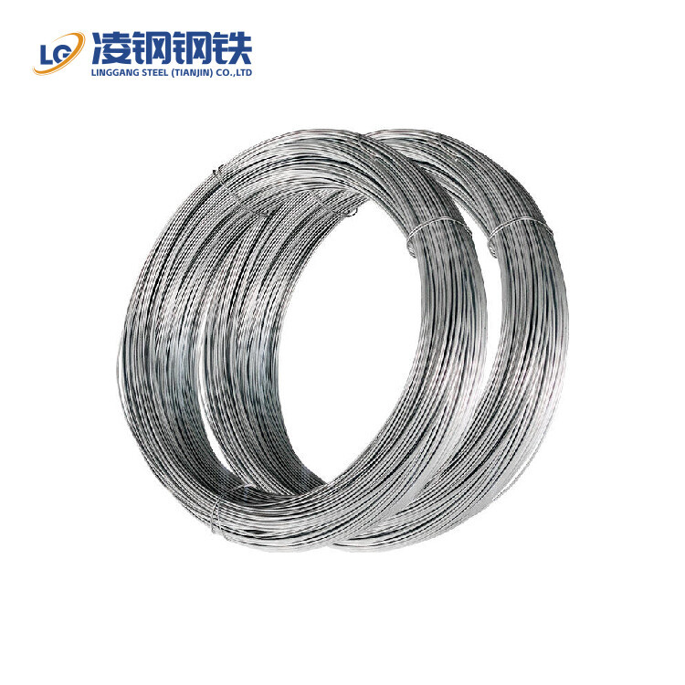 China Direct Supplier / Hot-Dipped Galvanized Steel Wire