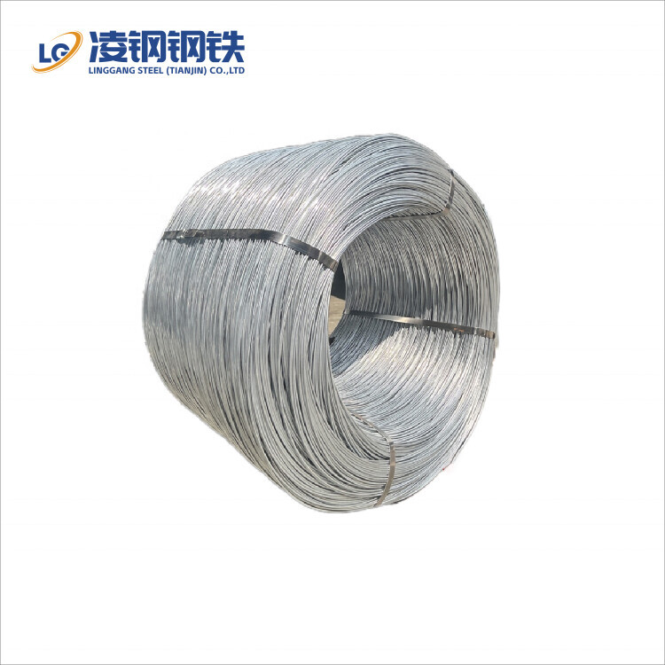 Hot Dipped Galvanized Steel Wire Q235 Q195 A36 2mm 3mm 4mm Galvanized Steel Wire
