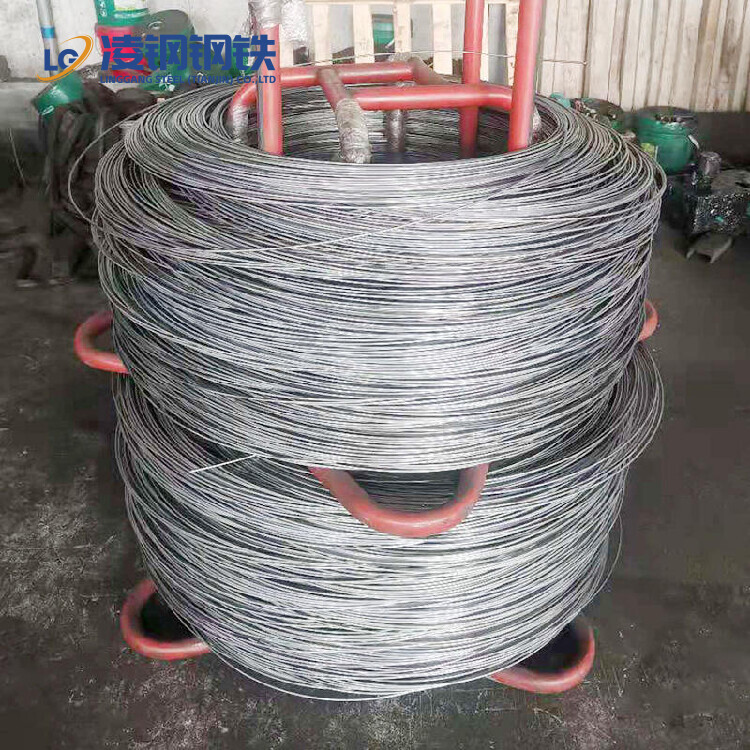 Hot Dipped Galvanized Steel Wire Q235 Q195 A36 2mm 3mm 4mm Galvanized Steel Wire