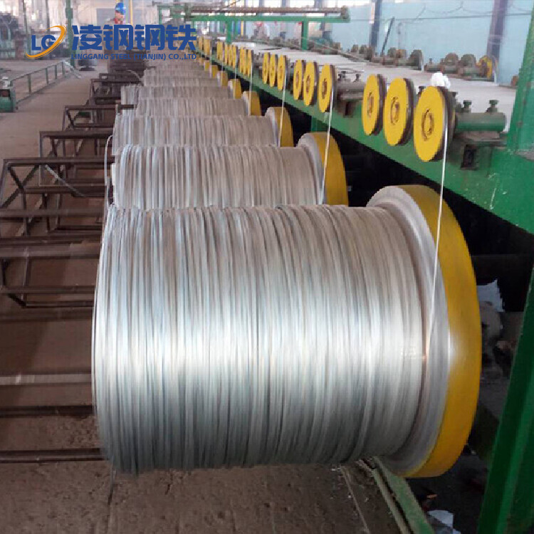 Hot Dipped Galvanized Steel Wire Q235 Q195 A36 2mm 3mm 4mm Galvanized Steel Wire