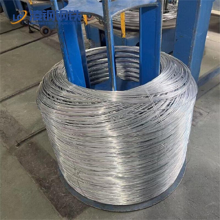 Hot Dipped Galvanized Steel Wire Q235 Q195 A36 2mm 3mm 4mm Galvanized Steel Wire
