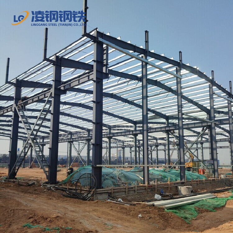 Modern Style Electric Canopy Factory-Installed Steel Structure Building