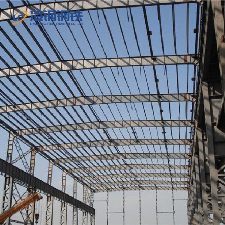 China Metal Construction Projects Steel Structures Professional Industrial Steel Structure Building