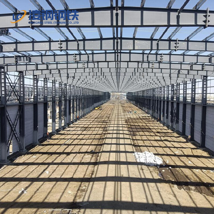 Prefab Steel Structure Industrial Building with Metal Frame