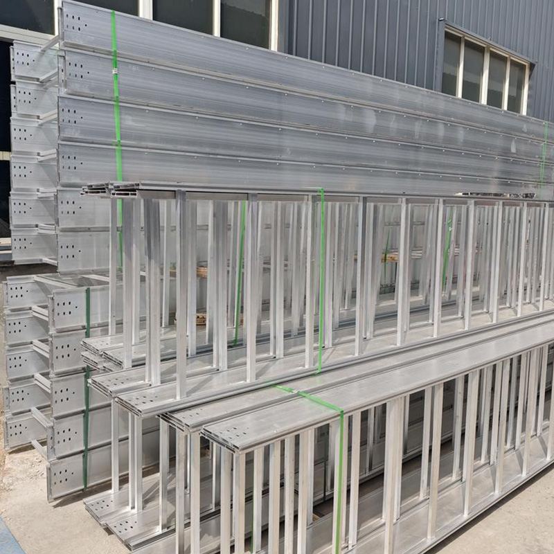 ladder cable tray / cable ladder