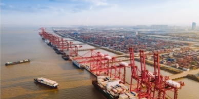 Quay Container Crane