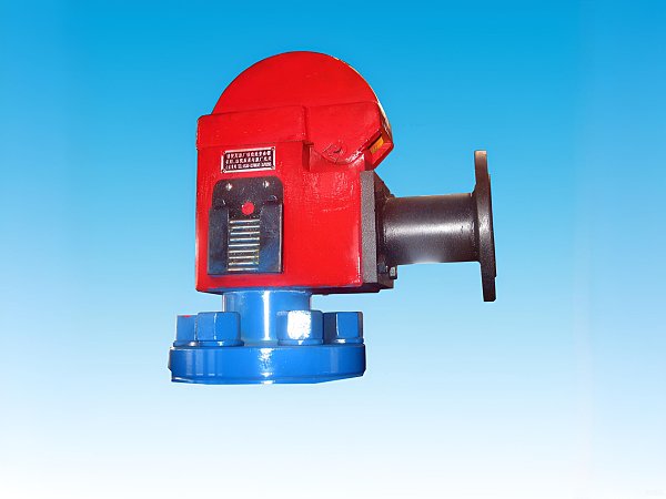 Safety valve(1)