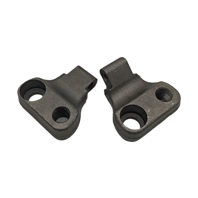 Yellow jacket teeth Pocket