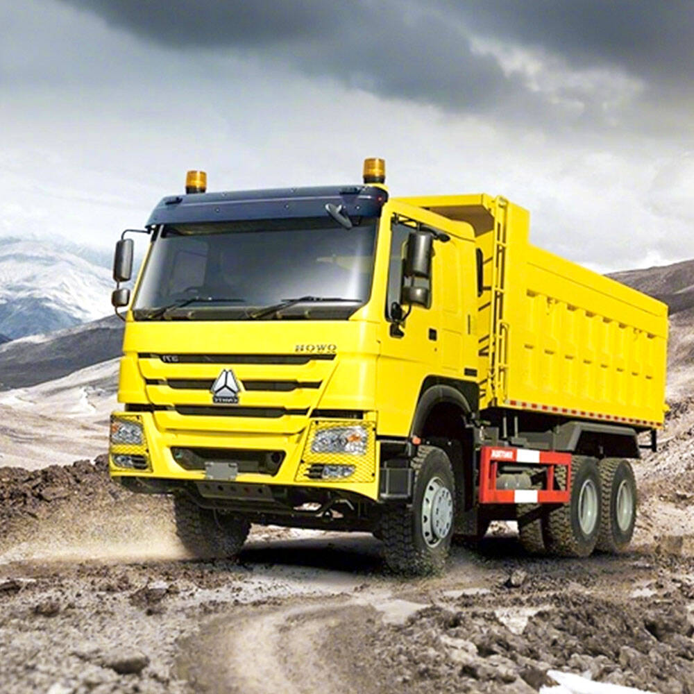 used Howo 8X4 Dump Truck