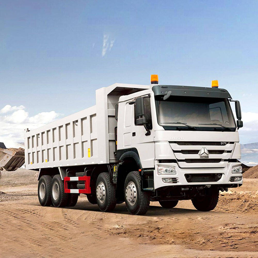 used Howo 8X4 Dump Truck