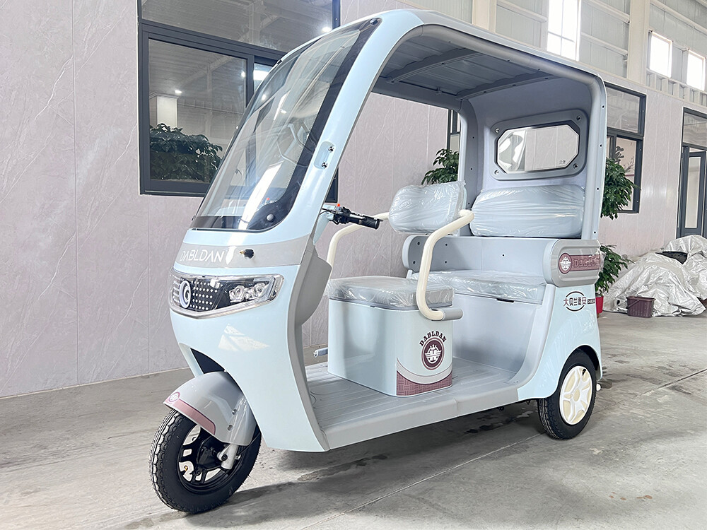 wyvern (type of dragon)