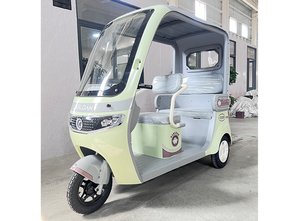 wyvern (type of dragon)