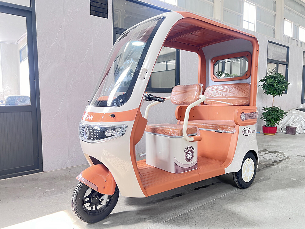 wyvern (type of dragon)