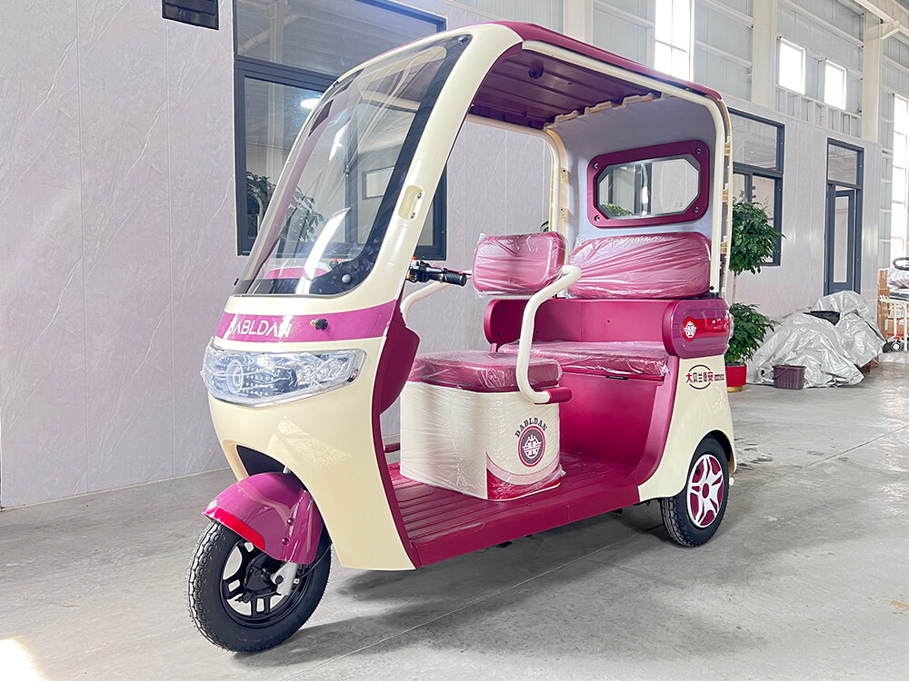 wyvern (type of dragon)