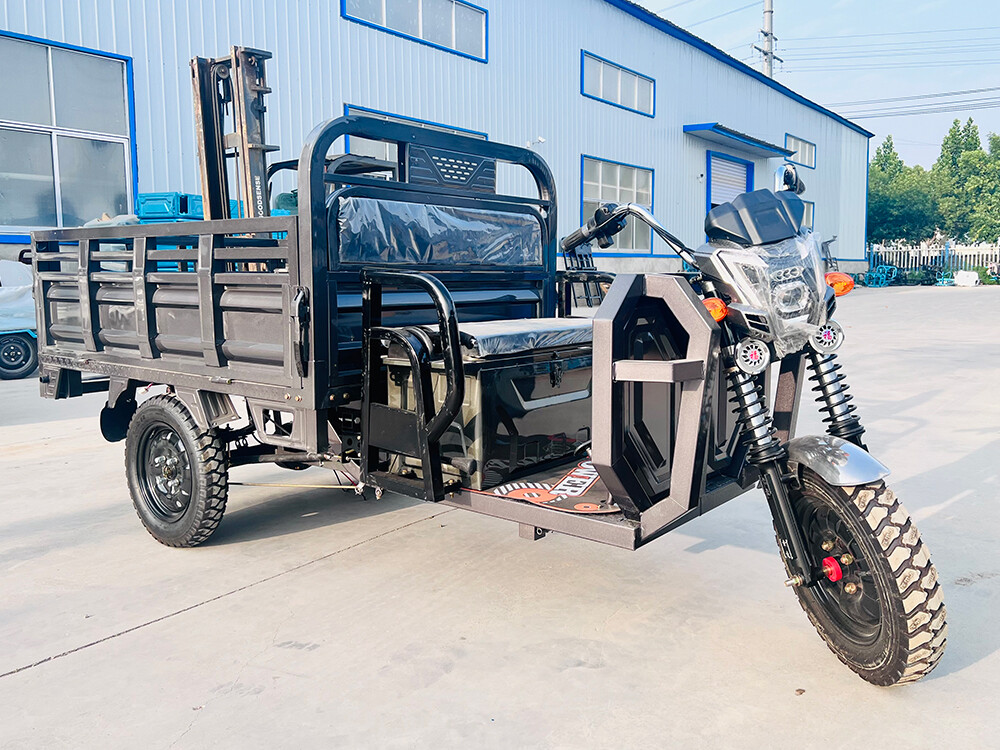 Big G Cargo Electric Tricycle